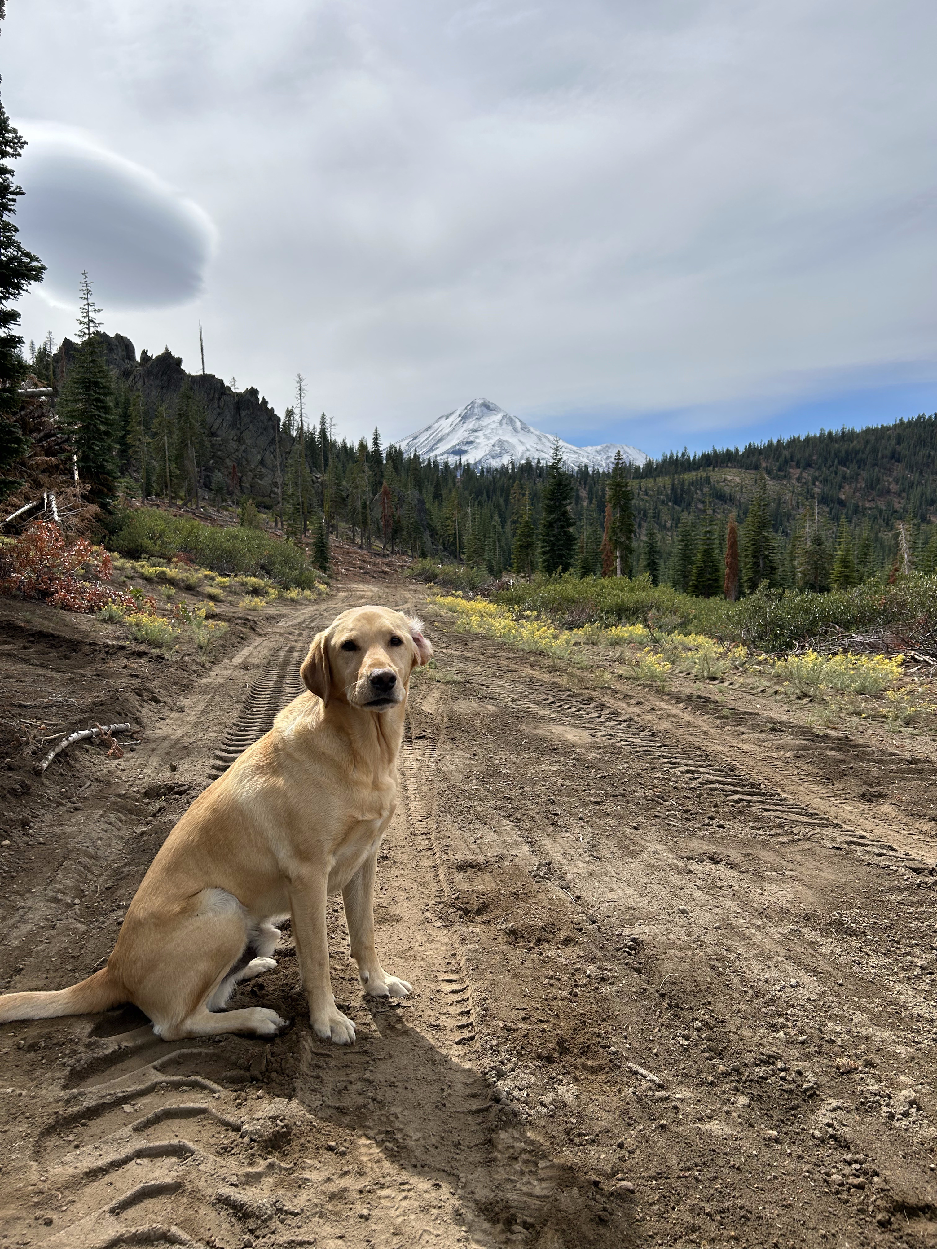 Cooper